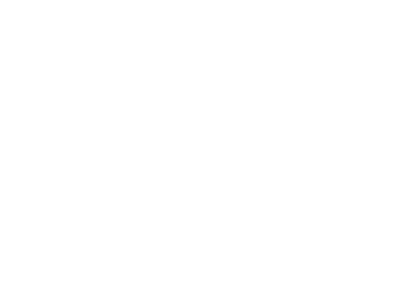 LOGO-INSANE-BLANC